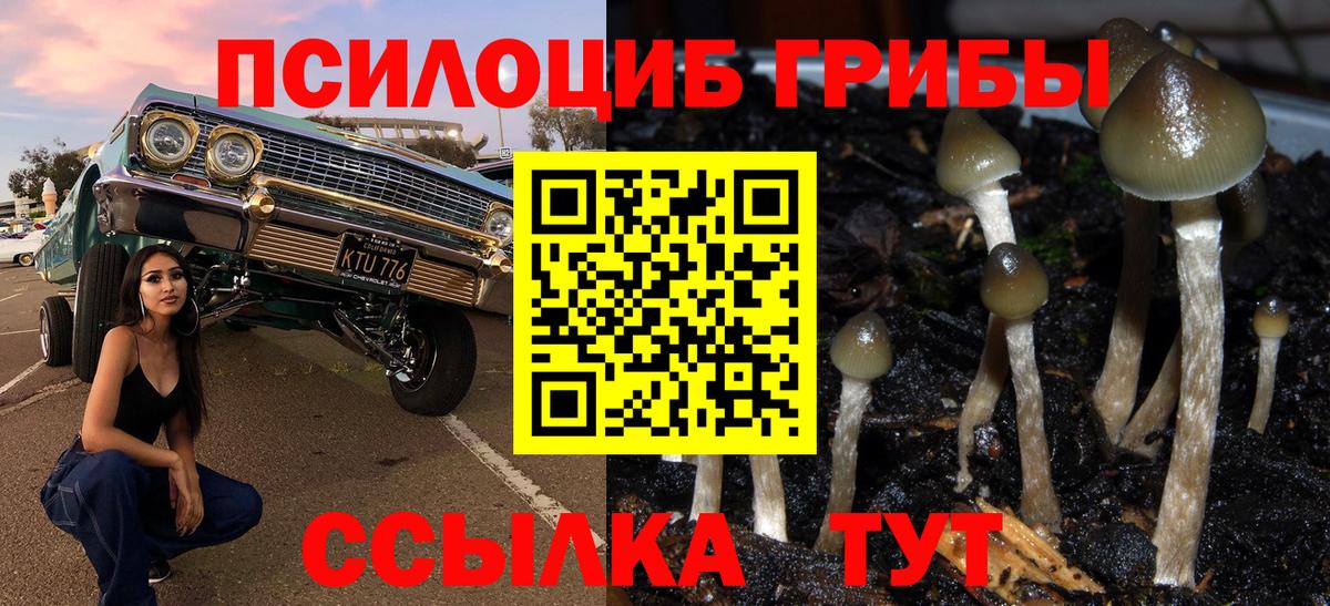 Псилоцибиновые грибы MAGIC MUSHROOMS  Вход с VPN  Чапаевск  Галлюциногенные грибы GOLDEN TEACHER 