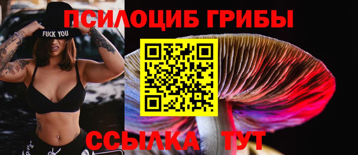 Псилоцибиновые грибы GOLDEN TEACHER Чапаевск